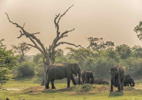 3f685d2d9cf753abf68b090d45d4bfc00101a76a