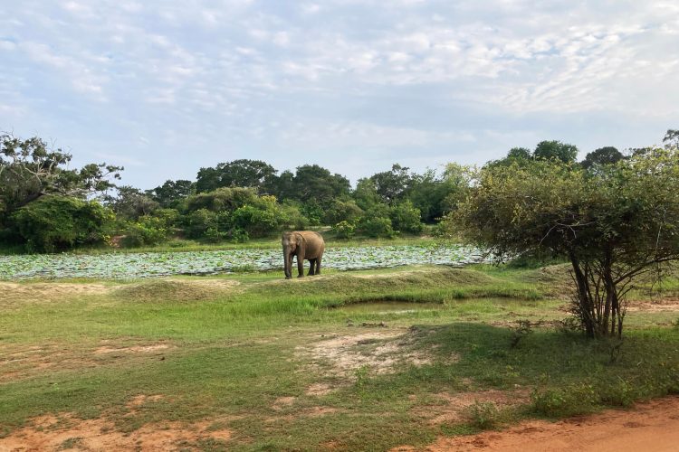 5dab1495f5bf373e2f4b24b9b85c1ce03afa960a